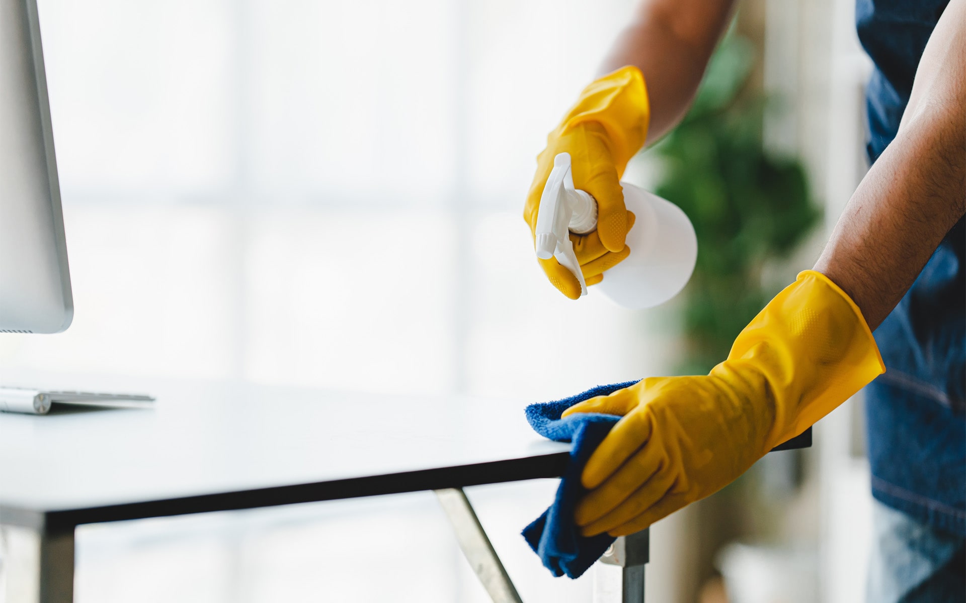 servicios-ea-cleaning-3